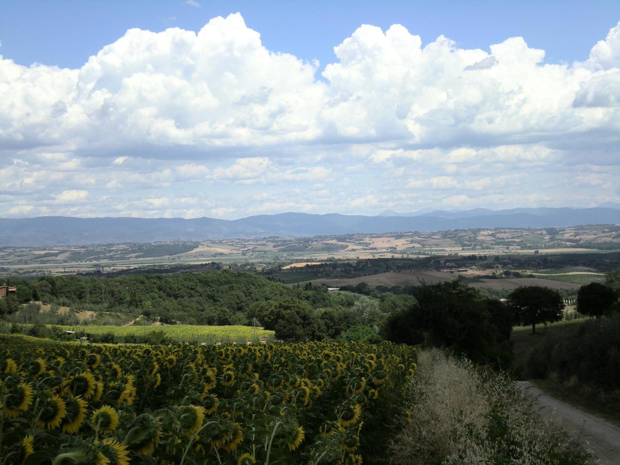 Hotel Sangallo B&B Montepulciano Exterior photo
